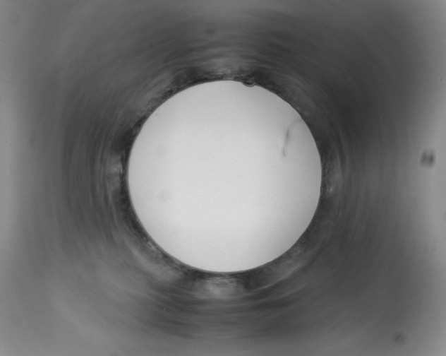 X0000113150279200910021510