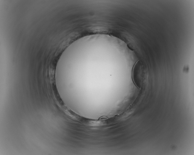 X0000113150281200910021510