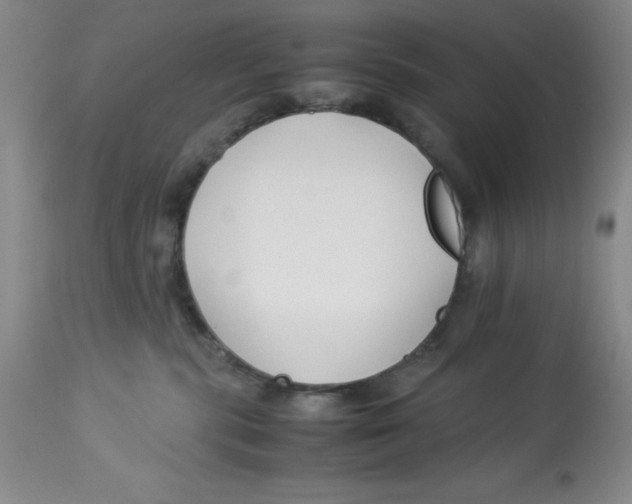 X0000113150283200910021510