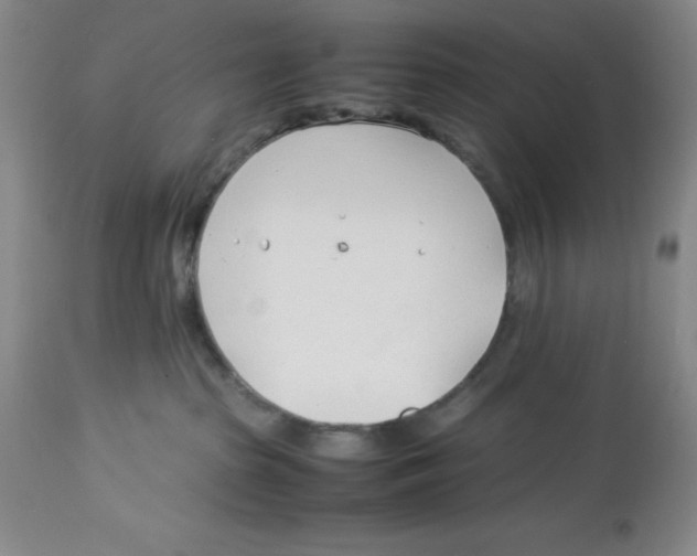 X0000113150285200910021510