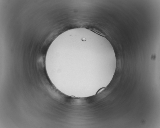 X0000113150286200910021510