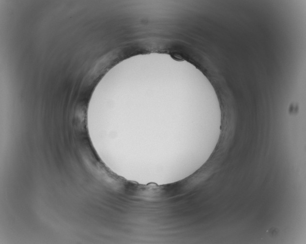 X0000113150288200910021510