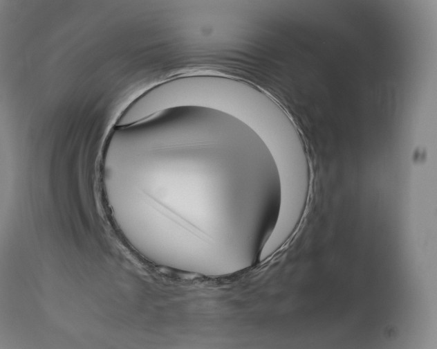 X0000113150289200910021509