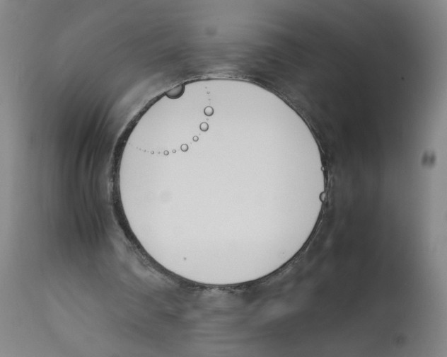 X0000113150290200910021509