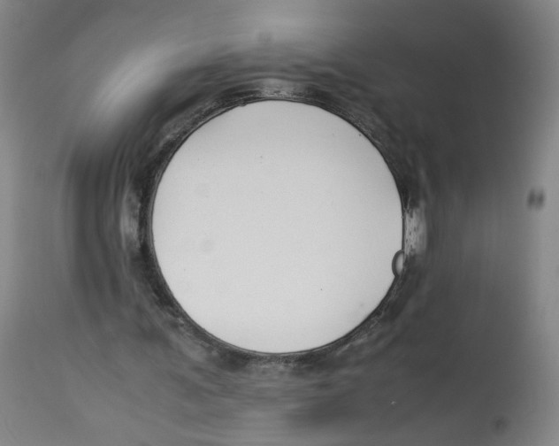 X0000113150291200910021509