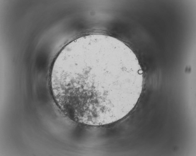 X0000113150293200910021509