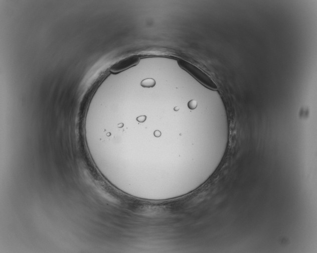 X0000113150296200910021509