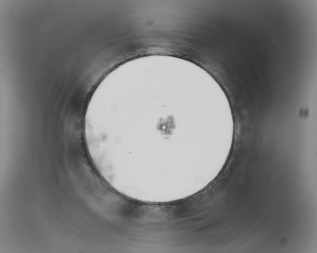 X0000113150297200910021509