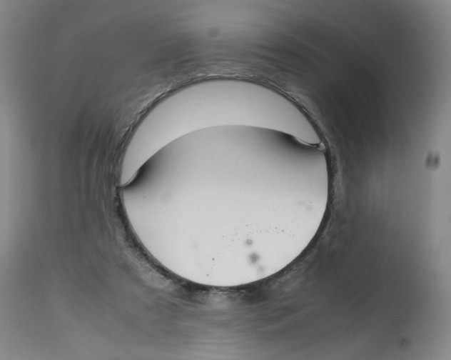 X0000113150305200910021509