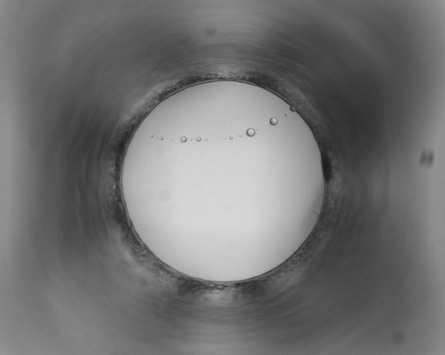 X0000113150306200910021509