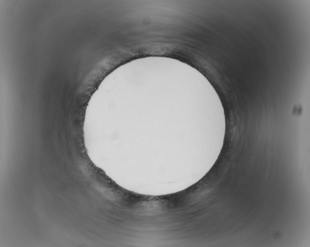 X0000113150307200910021509