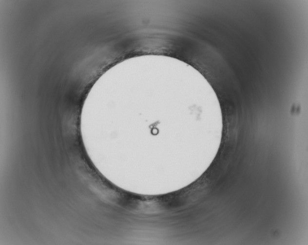 X0000113150309200910021509