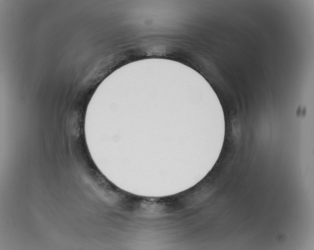 X0000113150311200910021509