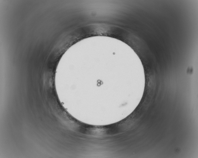 X0000113150313200910021509