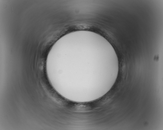 X0000113150315200910021508