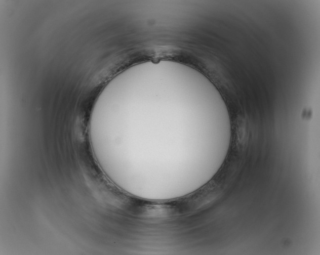 X0000113150316200910021508