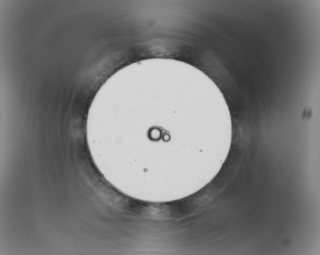 X0000113150317200910021508