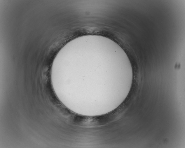 X0000113150319200910021508