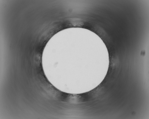 X0000113150321200910021508