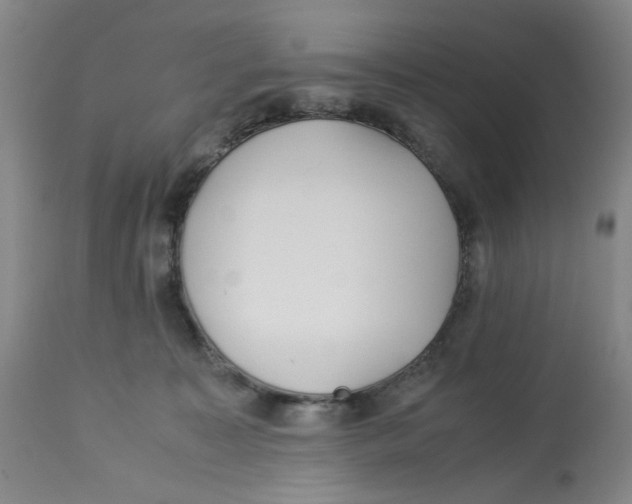 X0000113150323200910021508