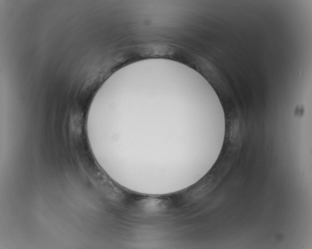 X0000113150326200910021508