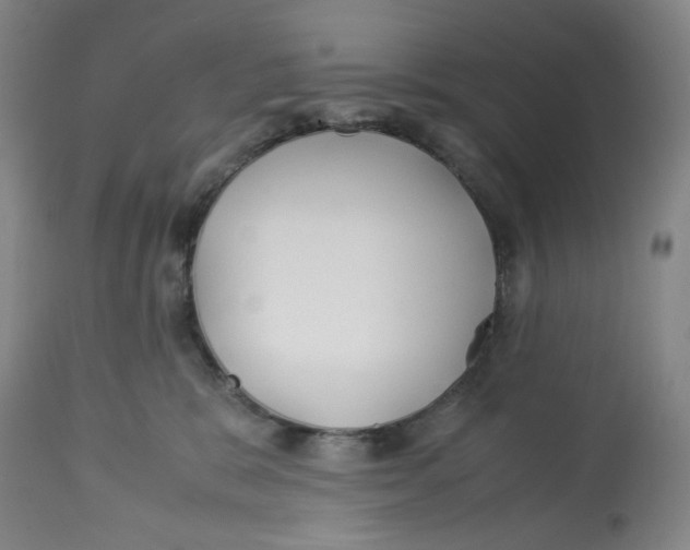 X0000113150327200910021508