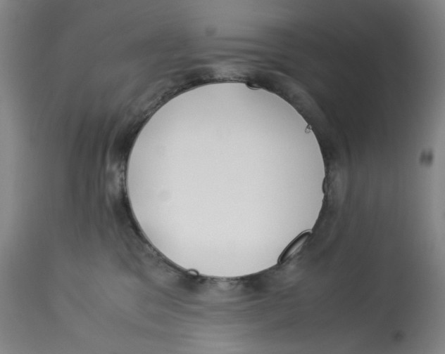 X0000113150329200910021508