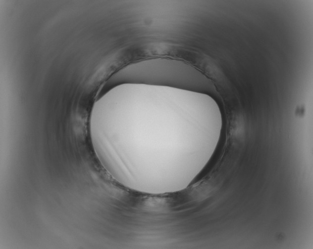 X0000113150332200910021508