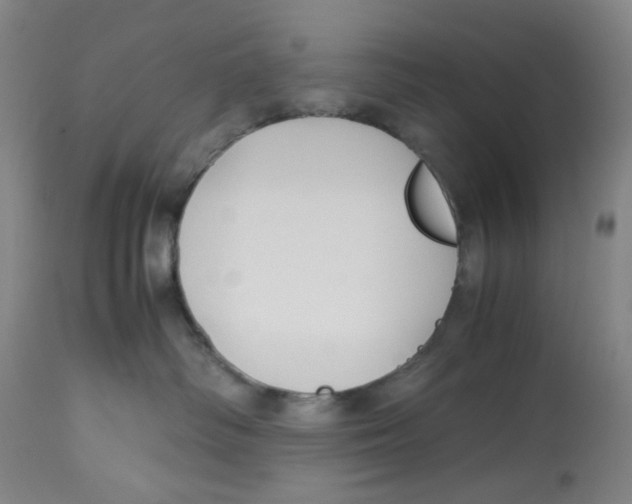 X0000113150334200910021508