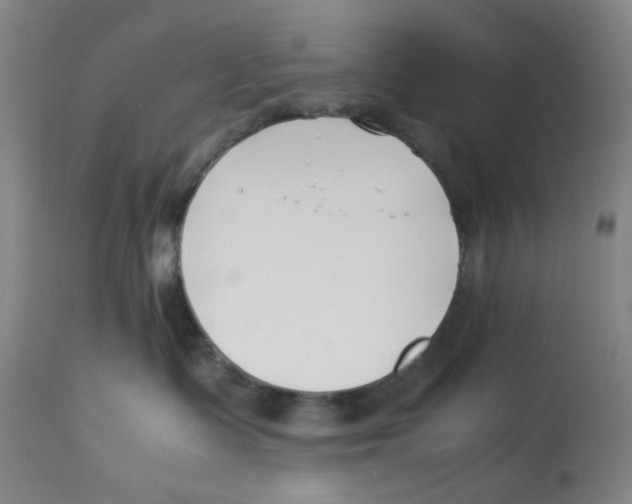 X0000113150335200910021508