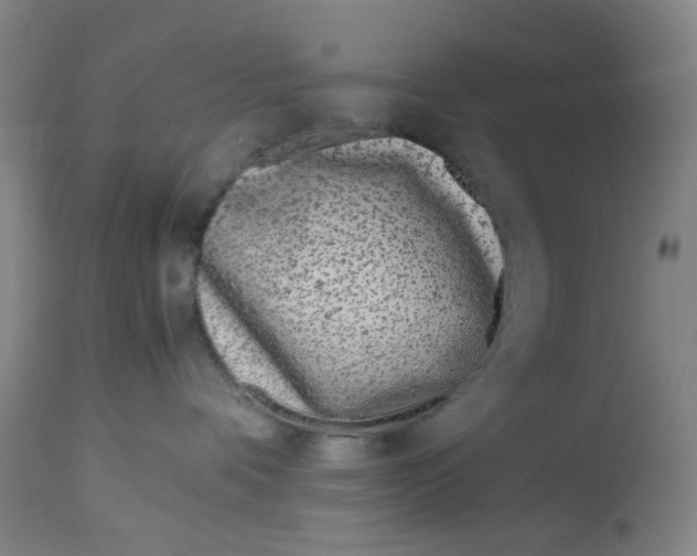 X0000113150336200910021508