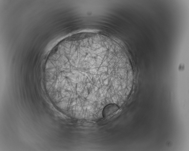 X0000113150337200910021508