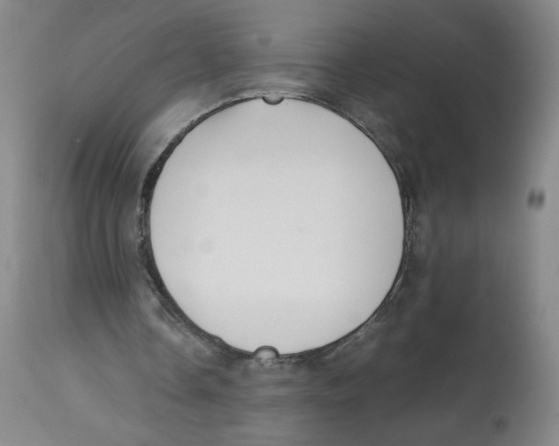 X0000113150338200910021508