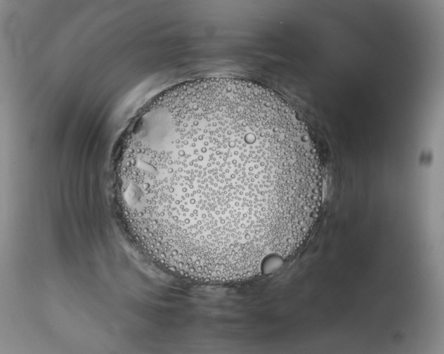 X0000113150339200910021508