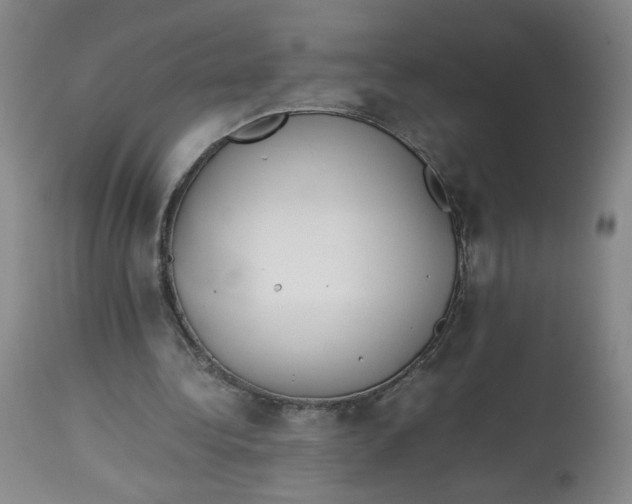 X0000113150340200910021508