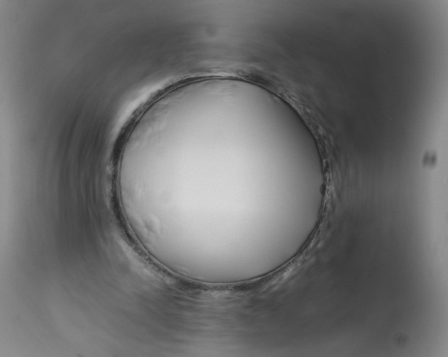 X0000113150342200910021508