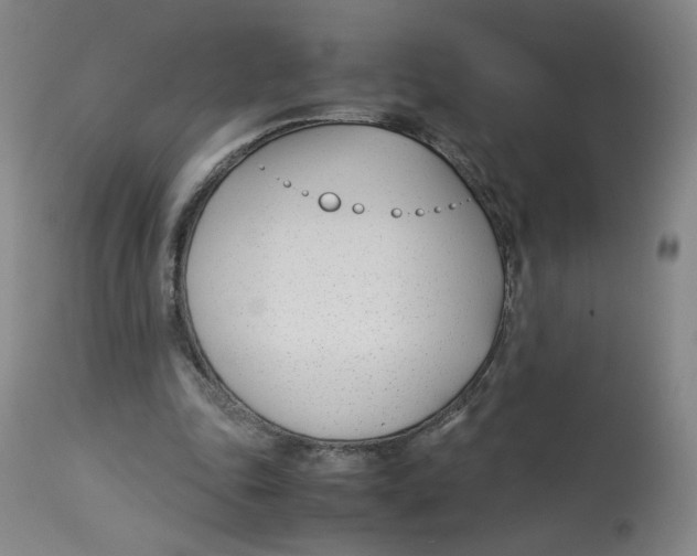 X0000113150343200910021508