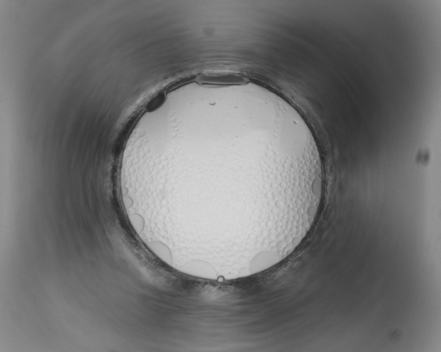 X0000113150346200910021508