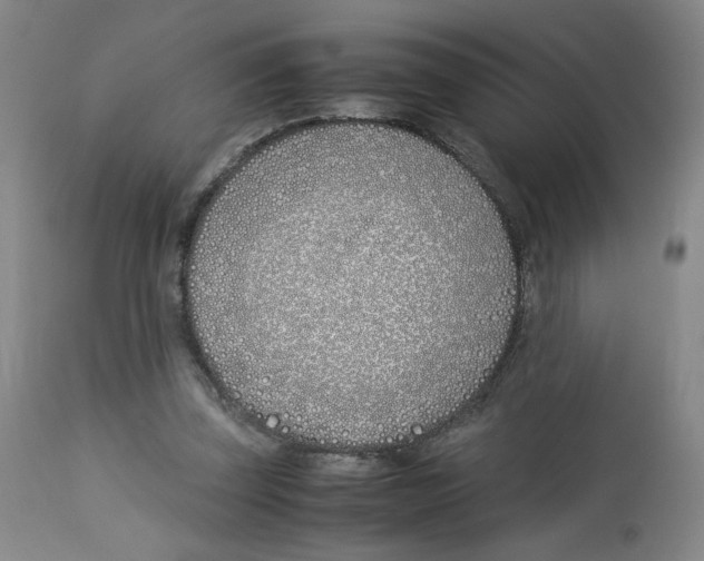 X0000113150347200910021508