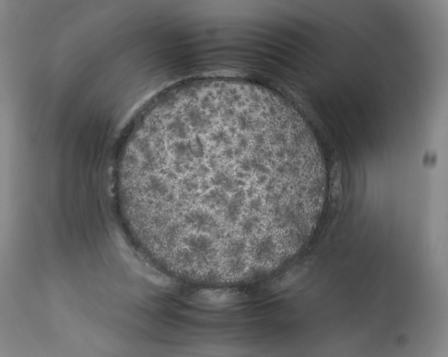 X0000113150351200910021508