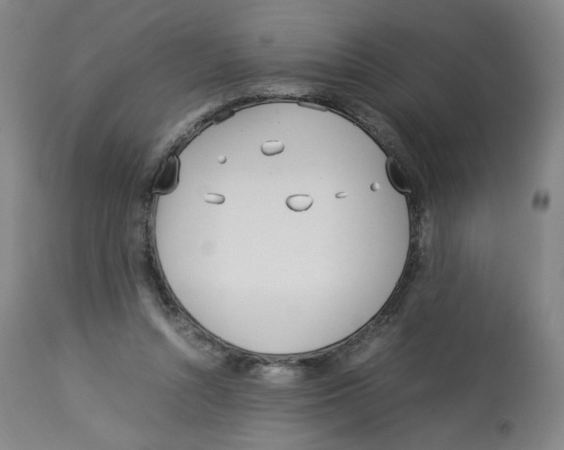 X0000113150352200910021508