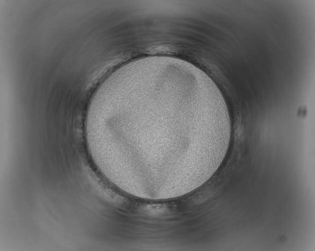 X0000113150353200910021508