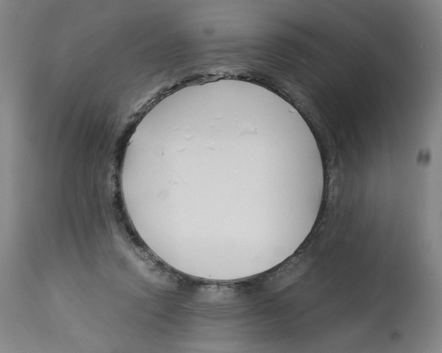 X0000113150354200910021508