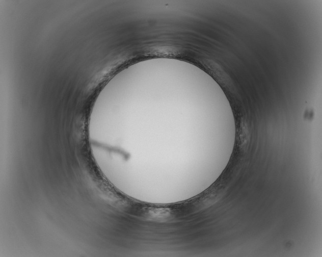 X0000113150355200910021508