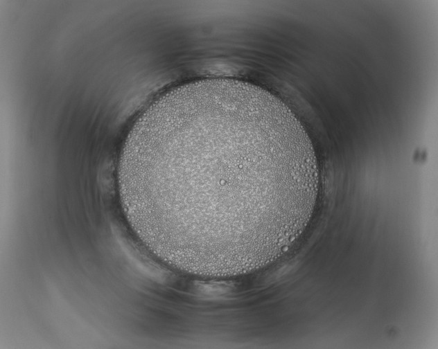 X0000113150359200910021508