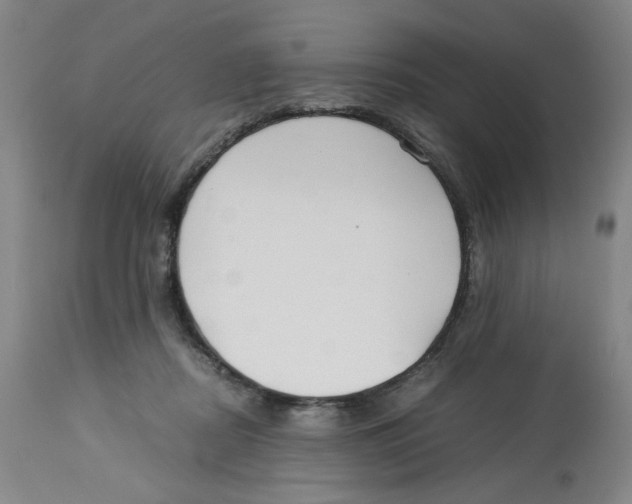 X0000113150362200910021508