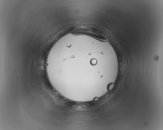 X0000113150368200910021508