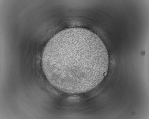 X0000113150369200910021508