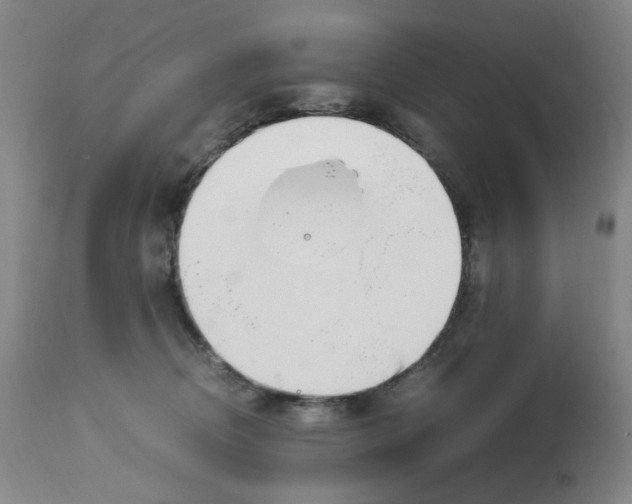 X0000113150370200910021508