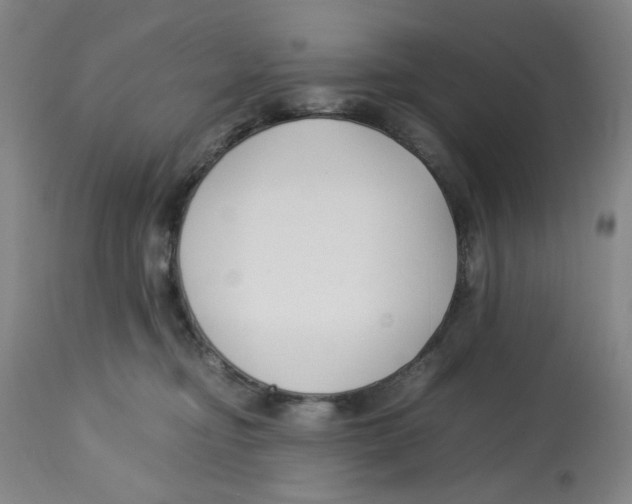 X0000113150374200910021508